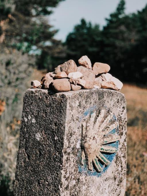 ホテル Casa Do Cuco - Rural House フリオル エクステリア 写真