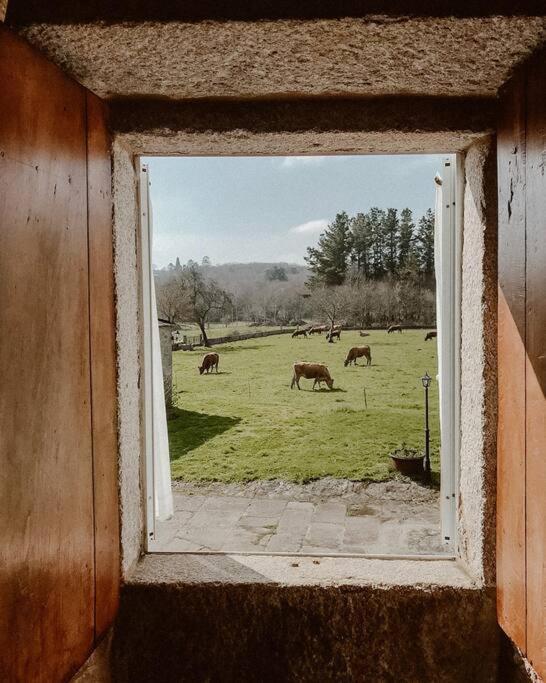 ホテル Casa Do Cuco - Rural House フリオル エクステリア 写真