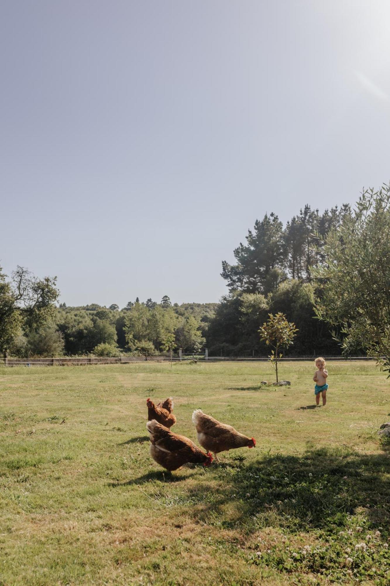 ホテル Casa Do Cuco - Rural House フリオル エクステリア 写真