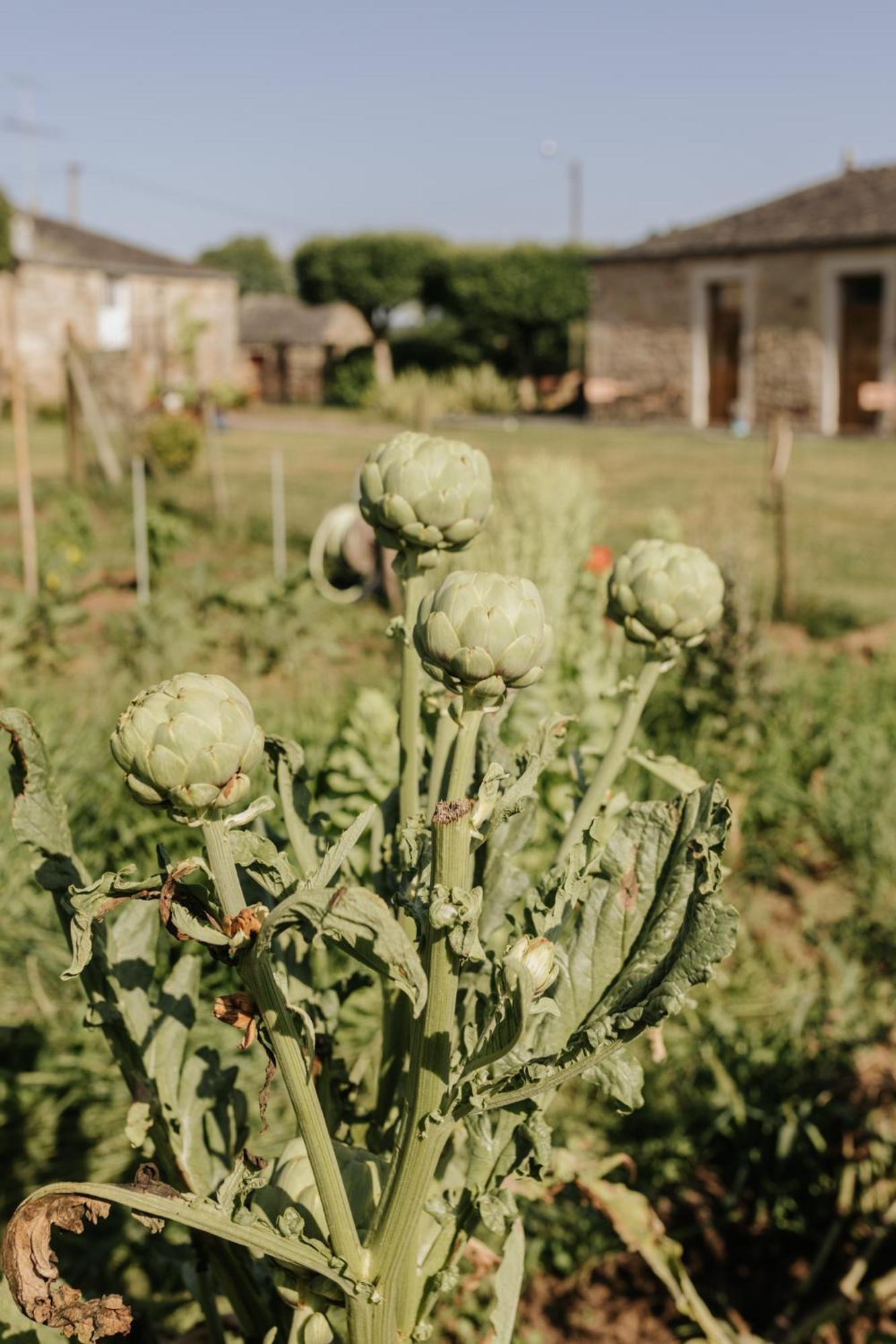 ホテル Casa Do Cuco - Rural House フリオル エクステリア 写真
